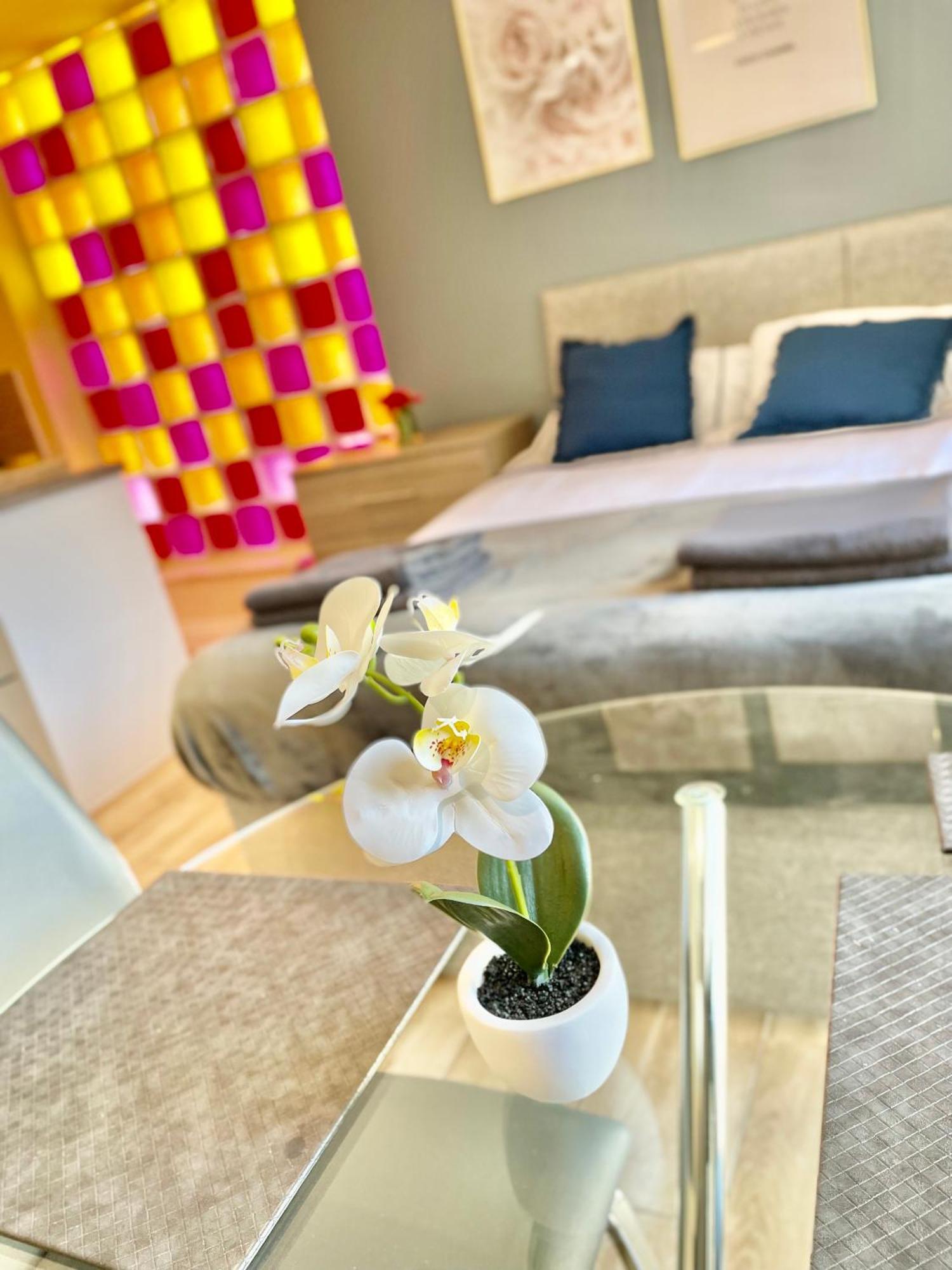 Cambridge City Centre Immaculate Studio Sleeps 2 - Central Location Paradise Street Экстерьер фото